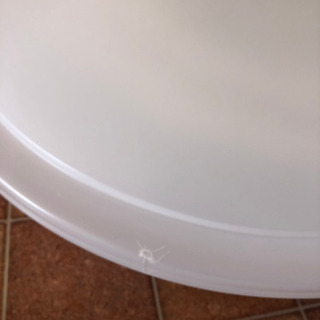 照明　シーリングライトの画像