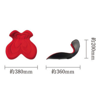 スタイルバタフライ　style butterfly 姿勢ケアで骨盤安定