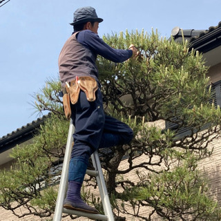 植木屋さん募集！の画像