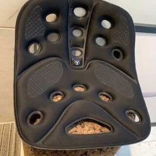 バックジョイ BACK JOY 骨盤サポート シートクッション ...