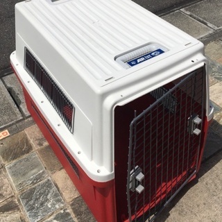 大型犬用バリケン