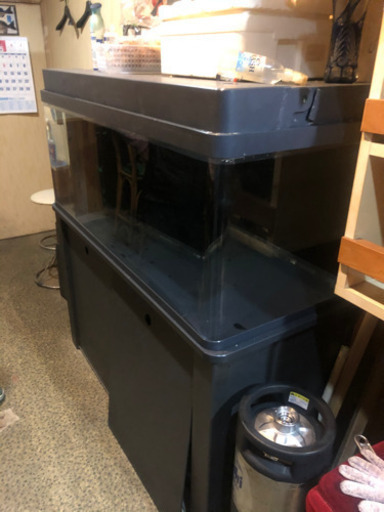 値下げ80000から50000！キレイ！120㎝水槽　おしゃれ