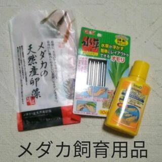 メダカ飼育グッズ