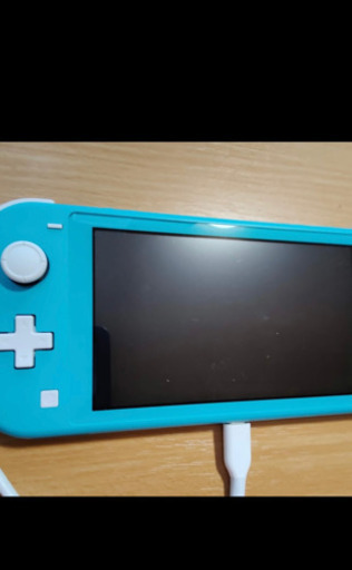 任天堂 Nintendo switch Lite ニンテンドー スイッチライト 本体のみ ターコイズ 完動品 左右アナログスティック修理済