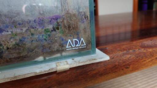水槽ADA60センチ水槽