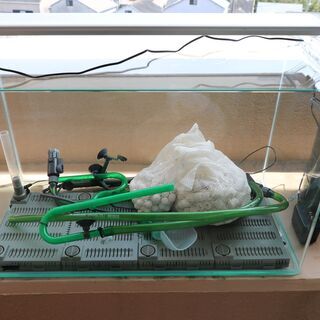 60cm水槽とエーハイム外部フィルター＆GEX　LED照明とオマケ