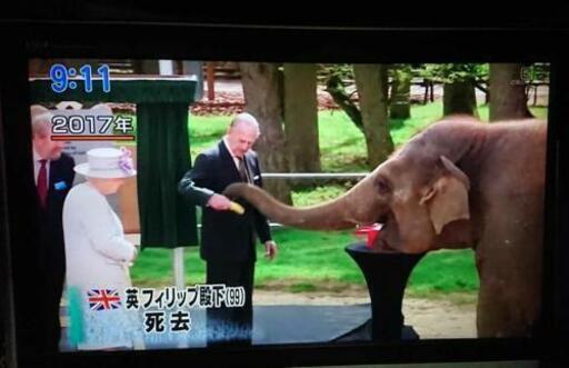 液晶テレビ Panasonic VIERA 26インチ TH-26LX60 2006年製 取りに来てください 中古