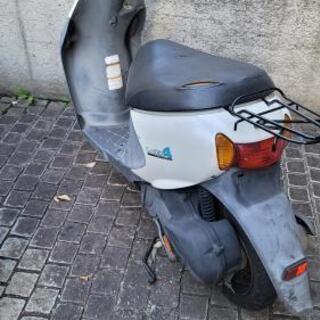 お譲り先決まりました！の画像