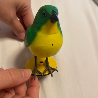 ミュージックバード