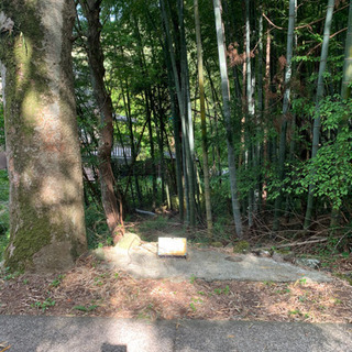 竹取りと雑草の処理。床下換気口が土に埋まって換気出来ず困っています。 − 静岡県