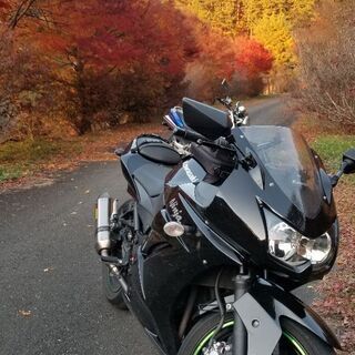 最終値下げ220000→198000Ninja250R　kawa...