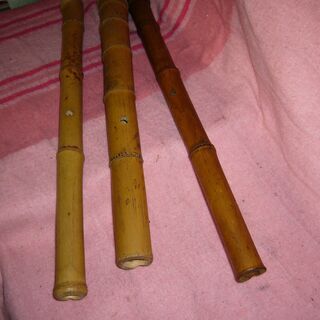 1本もの尺八3本の画像