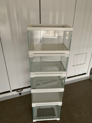 爬虫類ケージ⑨