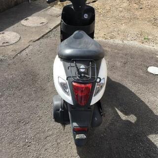 スズキ 原付バイク レッツ  新車購入の画像