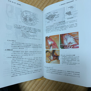 骨折 脱臼 4版 ほぼ新品 送料無料