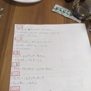 ファミリーカー、ミニバンチーム