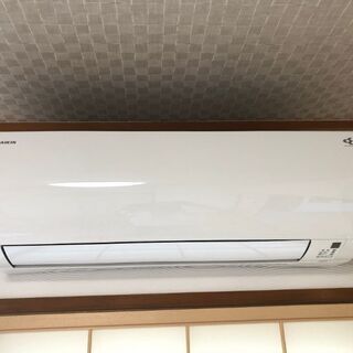 大谷翔平 2023年 シティコネクト ビッグヘッド・ボブルヘッド 223個