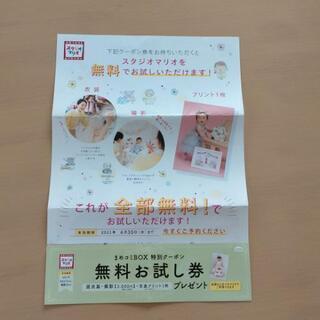 スタジオマリオ 無料お試し券