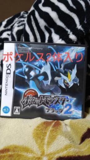 ポケットモンスター ブラック2 ポケルス2体入り