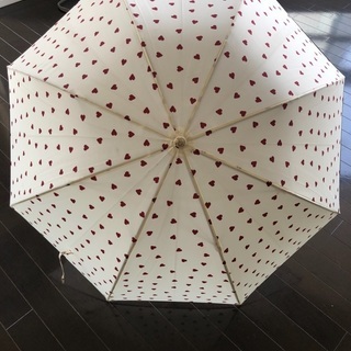 【最終値下げ】美品！w.p.c 長傘 レディース 大人用