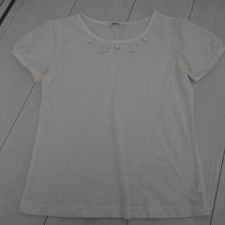 🐼150cmTシャツ