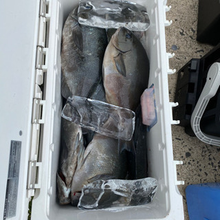 【遠征釣り】磯釣りの聖地に遠征する仲間を募集します - 大田区
