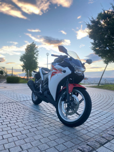 ホンダ cbr250r