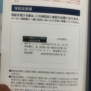 任天堂Switch lightの画像