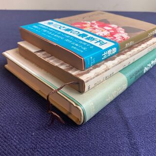 3冊セット 雲水街道をわたる・鎌倉夫人・路傍の石の画像