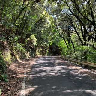 一緒にサイクリングしましょう