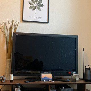 TOSHIBA TV