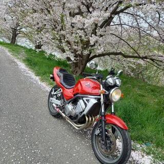 kawasaki バリオス250 一型 カワサキ
