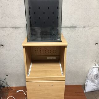 ADAシステムテラ30水槽セットの画像