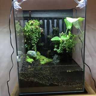 ADAシステムテラ30水槽セットの画像