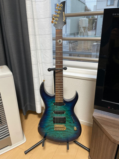 フェルナンデス　ギター