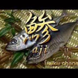 お魚コンセルジュの画像