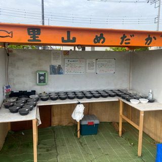 里山公園前のメダカ無人販売所　里山めだか　5/7出店