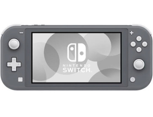 SwitchLiteグレー+モンスターハンターライズ（←商談中）+保護ケース