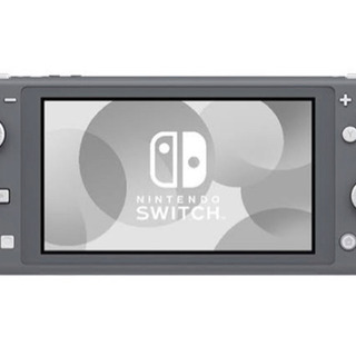 SwitchLiteグレー+モンスターハンターライズ（←商談中）+保護ケース