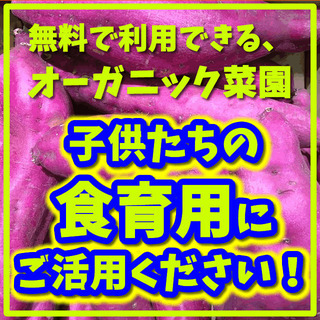 🌽🍅🥦保育園、幼稚園へ無料でお貸しします。広さ５０㎡！🍙🍙食育用...