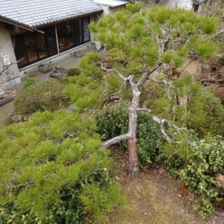 植木屋です！