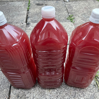 PSB 光合成細菌　1.5ℓ