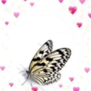 お友達募集中です