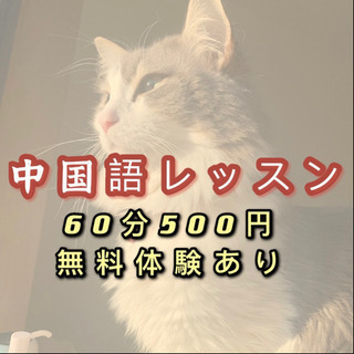 まずは30分だけでも無料体験してみませんか？
