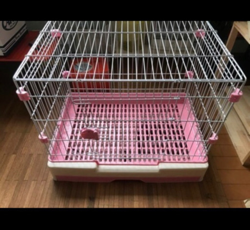 うさぎゲージ