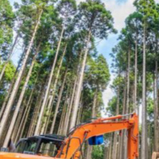 山口県東部中部で伐採草刈り承ります！草刈り主に承ります！