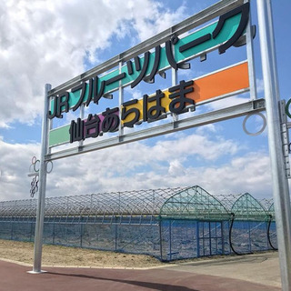 🍓フルーツパークあらはまに平日行ける人🥝募集❣️