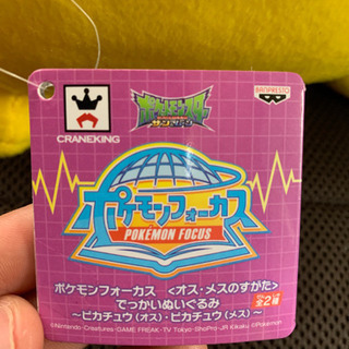 ピカチュウ ぬいぐるみ 高さ約35cm弱の画像