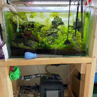 水槽まるごと