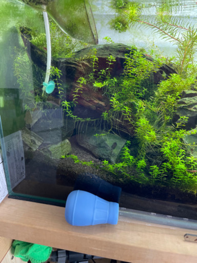 水槽まるごと